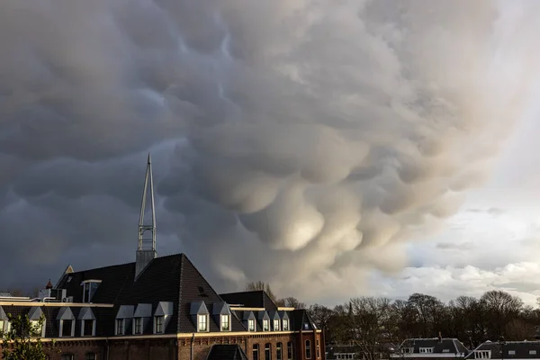 Una Vista Del Paisaje Ciudad Haarlem Bajo Cielo Nublado Ciudad — Foto de Stock