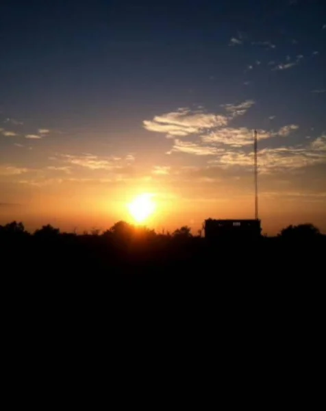 Silhouette Des Arbres Des Bâtiments Coucher Soleil — Photo