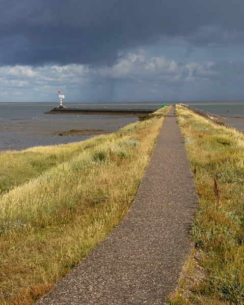 Vertical Shot Path Grass Leading Sea Terschelling Netherlands — 图库照片