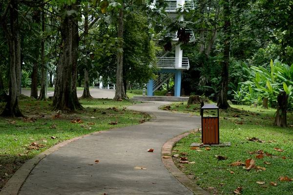 Primer Plano Hermoso Parque Público Kepong Kuala Lumpur Malasia — Foto de Stock