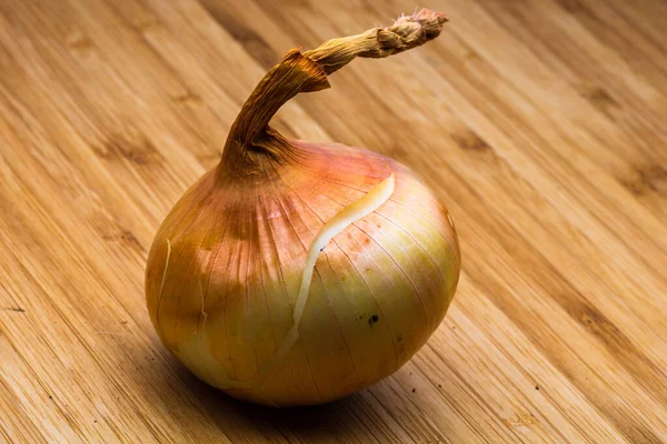 Primer Plano Una Cebolla Blanca Sobre Una Superficie Madera — Foto de Stock