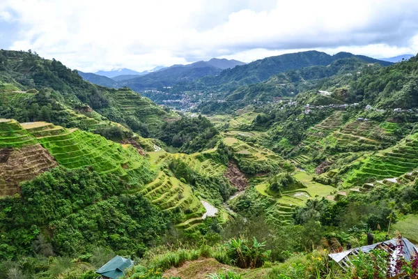 Una Vista Panorámica Las Terrazas Arroz Banaue Banaue Filipinas —  Fotos de Stock