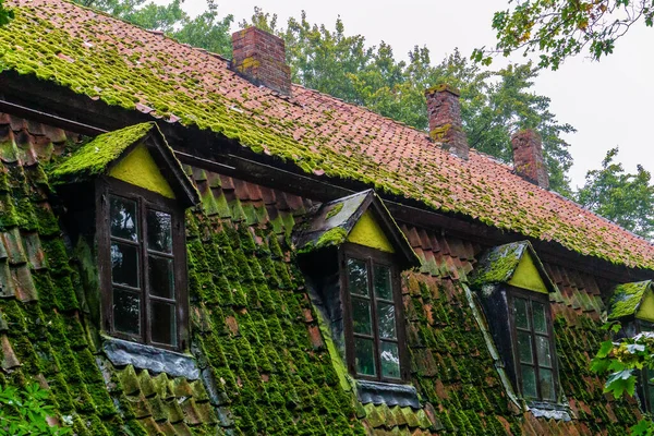 Telhado Casa Coberto Musgo Verde — Fotografia de Stock
