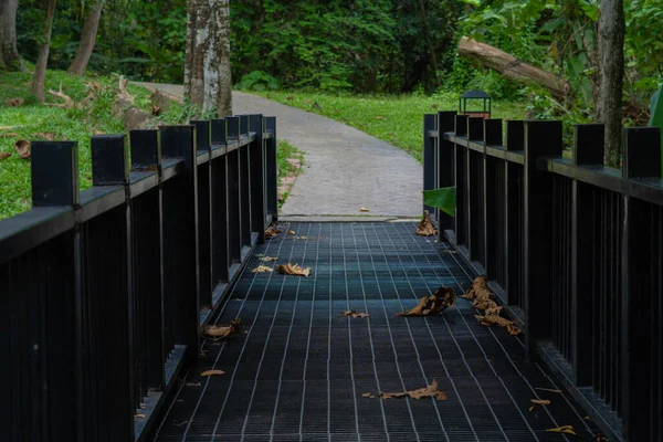 公園内の金属製の橋 — ストック写真