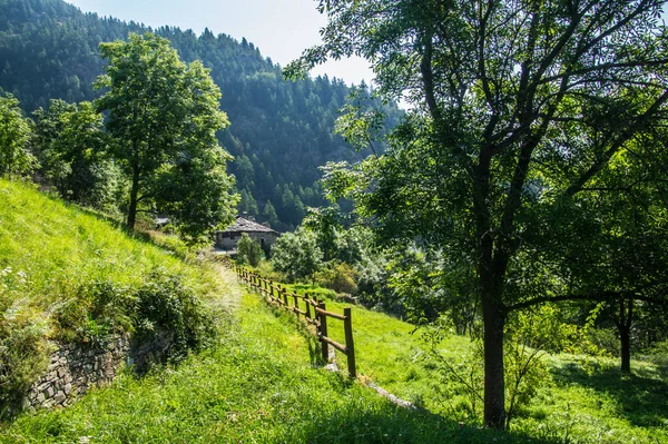 村庄和森林的美丽景色 意大利 — 图库照片
