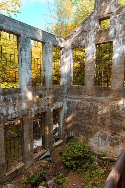 Een Verticaal Schot Van Beton Ravages Een Herfst Woud — Stockfoto