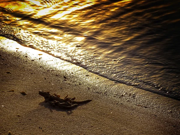 Beautiful Shot Sunshine Reflection Sea — Stock Photo, Image