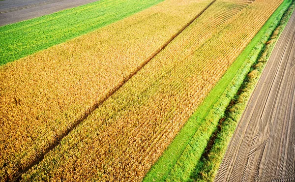 Aerial View Field Wallpaper Background — Stockfoto