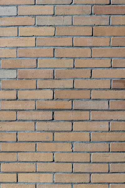 Vertical Shot Brick Wall Daylight — стоковое фото