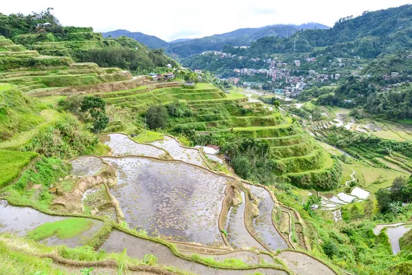 Una Vista Panoramica Delle Terrazze Riso Banaue Banaue Filippine — Foto Stock