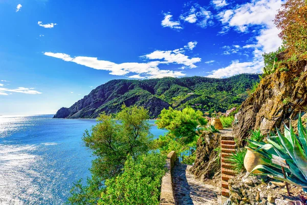 Bela Vista Das Colinas Verdes Oceano Azul Cinque Terre Itália — Fotografia de Stock