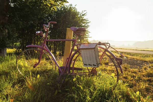 中午时分在田里拍到一辆粉色自行车的特写镜头 — 图库照片