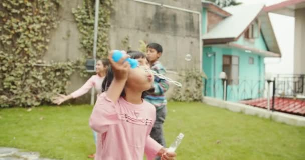 Gruppe Glade Indiske Børn – Stock-video
