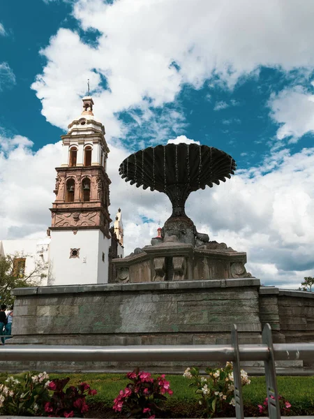 Katedra Matki Bożej Samotnej Lub Katedra Irapuato Meksyku — Zdjęcie stockowe