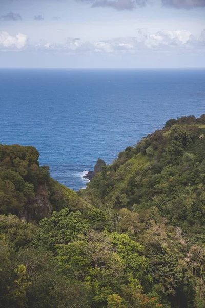 Uno Splendido Paesaggio Verdi Montagne Boschive Riva Mare Tranquillo — Foto Stock