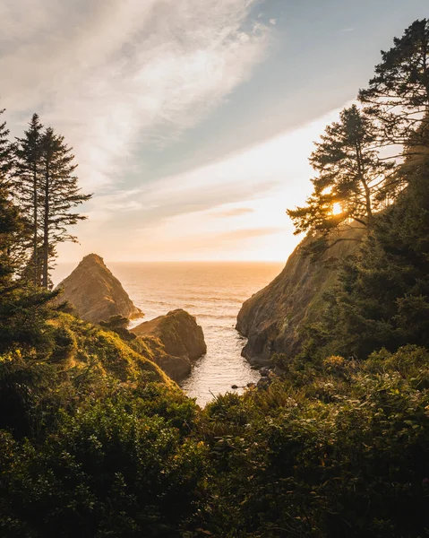 Beautiful Landscape Lush Trees Rocky Shore Sunset — Stock Photo, Image