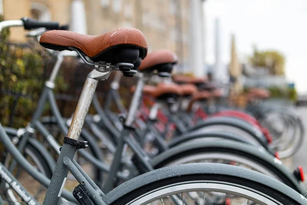 Närbild Raden Cyklar Säten — Stockfoto