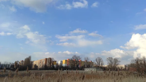 一片草地上的风景 周围环绕着蓝天和阳光下的建筑物 — 图库照片