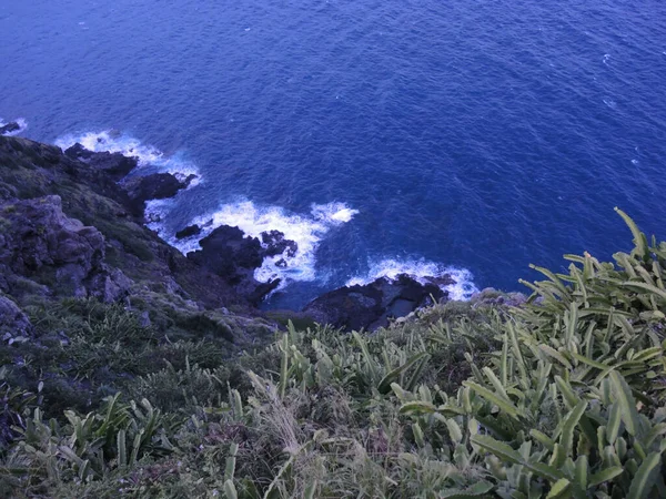 Aşağıdaki Kayalıklara Okyanusa Bakıyorum Deniz Feneri Patikası Oahu Hawaii — Stok fotoğraf