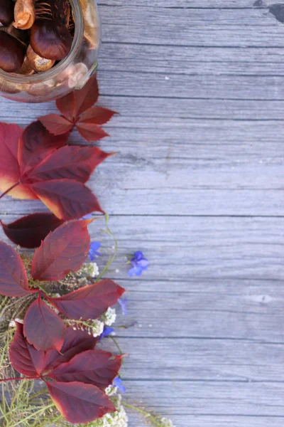 Red Autumn Leaves Wooden Background Copy Space — Stok fotoğraf