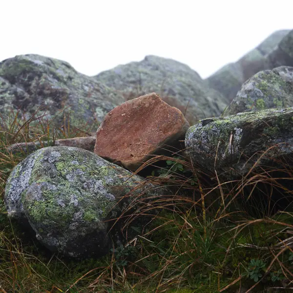 Une Belle Vue Sur Paysage Avec Des Rochers Des Montagnes — Photo