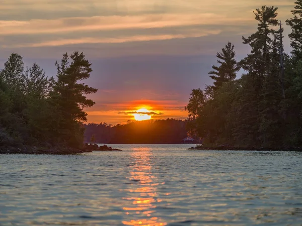 Beautiful View Lake Pine Trees Sunset Sky Background — ストック写真