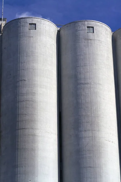Vertical Shot Corn Cylindrical Silo Storage — Stockfoto