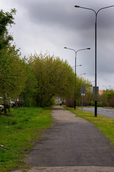 Vertical Shot Street Light Posts Street Gloomy Sky — Fotografia de Stock