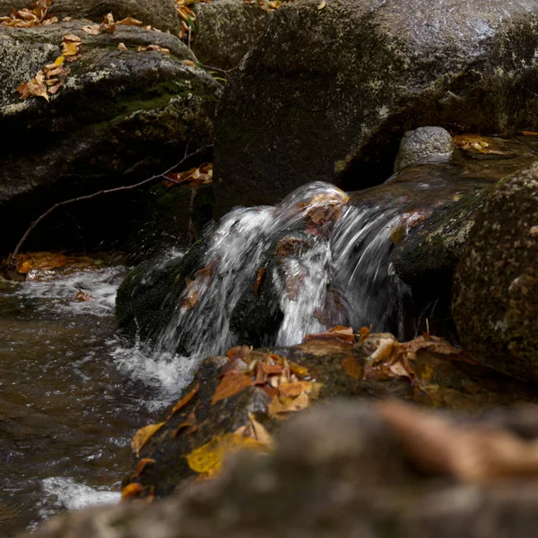Beautiful Shot Water Stream Rocks Forest — 图库照片