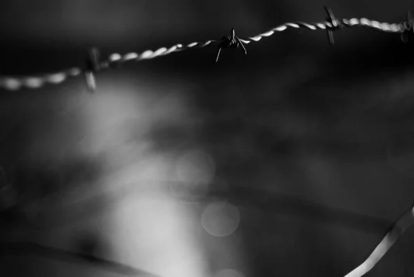 Grayscale Selective Focus Metal Fence Wire — Foto Stock