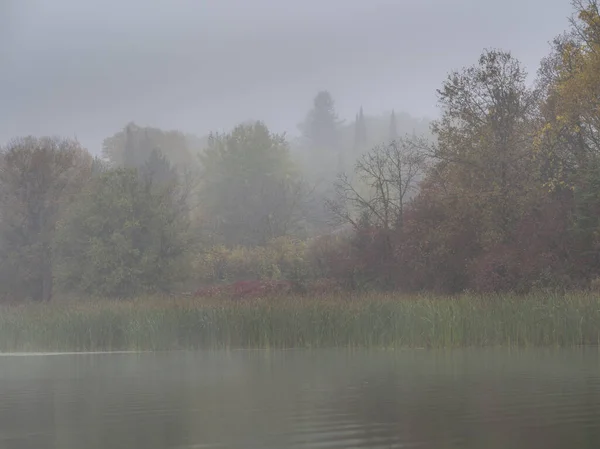 Beautiful View Lake Woods Foggy Day — Stock Photo, Image