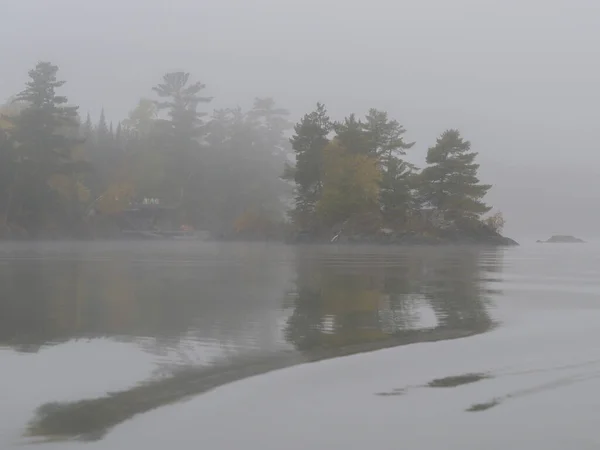 Beautiful View Lake Woods Foggy Day — стоковое фото