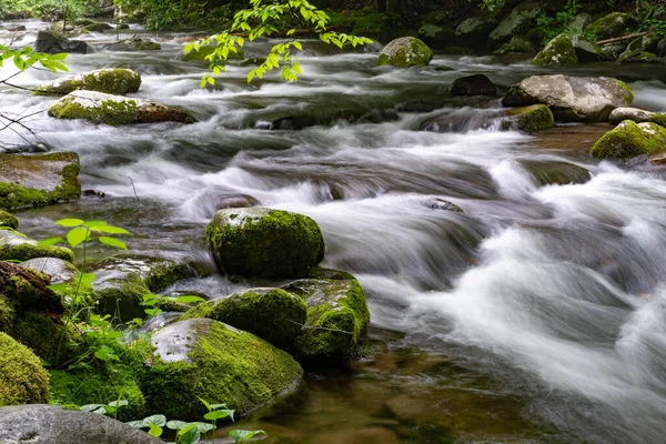 Beautiful Shot Smoky Mountains National Park North Carolina — 图库照片