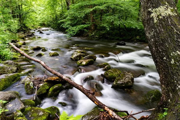 Beautiful Shot Smoky Mountains National Park North Carolina — Stock fotografie