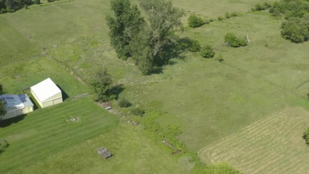 Aerial View City Park — Stock Video