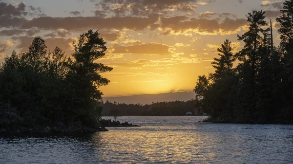 Beautiful View Lake Pine Trees Sunset Sky Background — стоковое фото