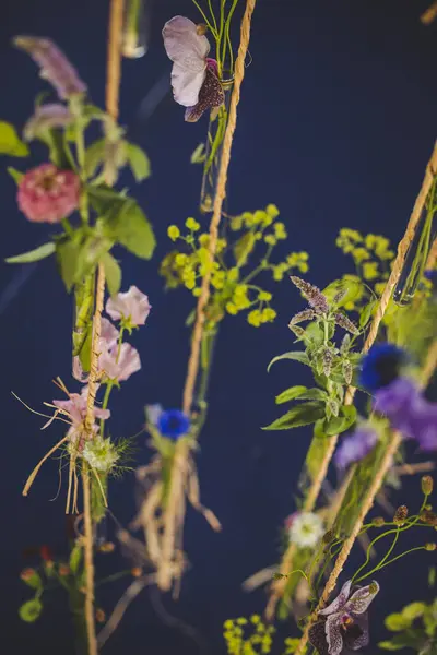Vertikální Záběr Přírodní Výzdoby Volně Rostoucími Květy — Stock fotografie