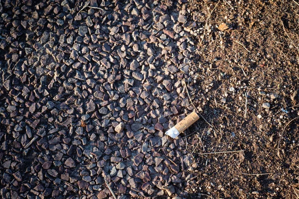 A closeup of a Cigarette butt in ground garbage