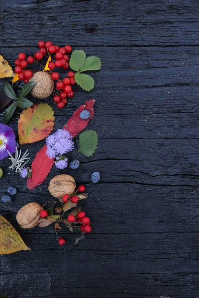 Flat Lay Different Colored Leaves Berries Flowers Placed Black Board — Foto de Stock