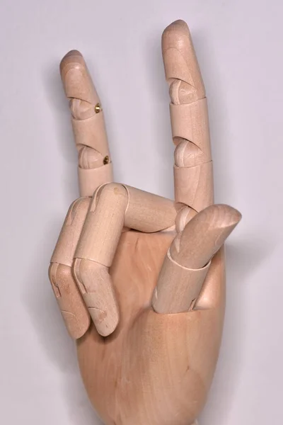 Wooden Mannequin Hand — Stok fotoğraf
