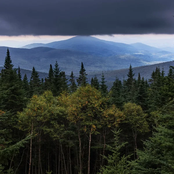 Schöne Aussicht Auf Eine Bergige Landschaft Mit Bäumen Und Viel — Stockfoto