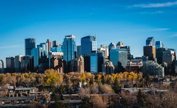 Cityscape Photograph Calgary Alberta Downtown Core — стоковое фото