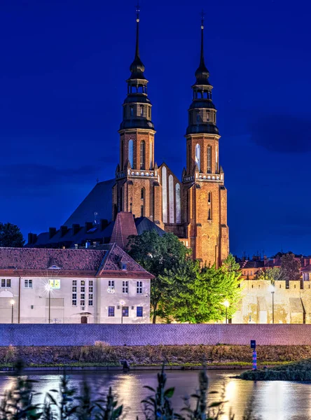 Vertical Shot Opole Cathedral — Stockfoto