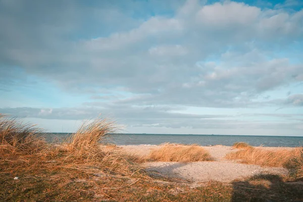 Ein Schöner Blick Auf Das Meer Und Strandgras — Stockfoto