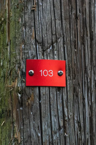 Vertical Closeup Number 103 Red Surface Wooden Wall — 图库照片