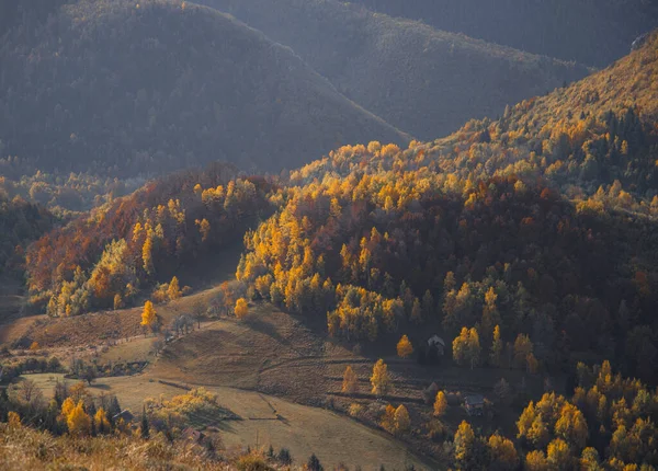 Mountains Covered Autumn Trees — Photo