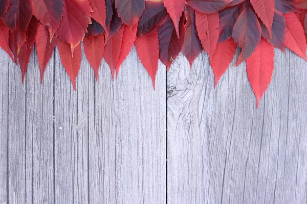 Red Autumn Leaves Wooden Background Copy Space — стоковое фото