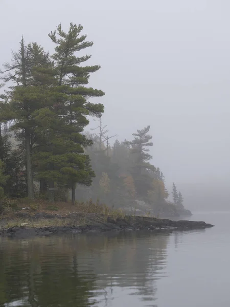 Beautiful View Lake Woods Foggy Day — Fotografia de Stock