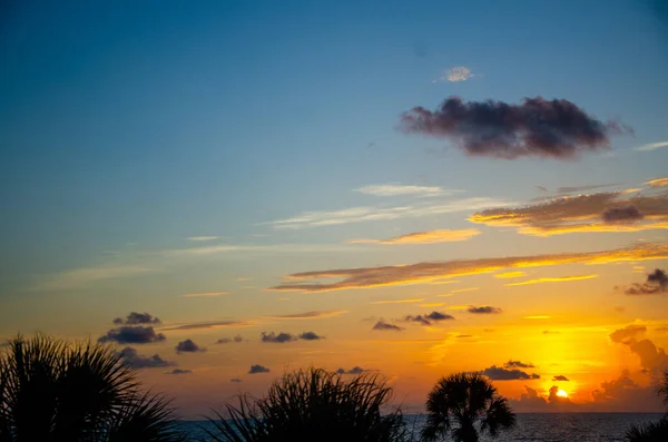 Mesmerizing View Sea Silhouettes Trees Clear Sky Tiny Clouds Sunset — стоковое фото