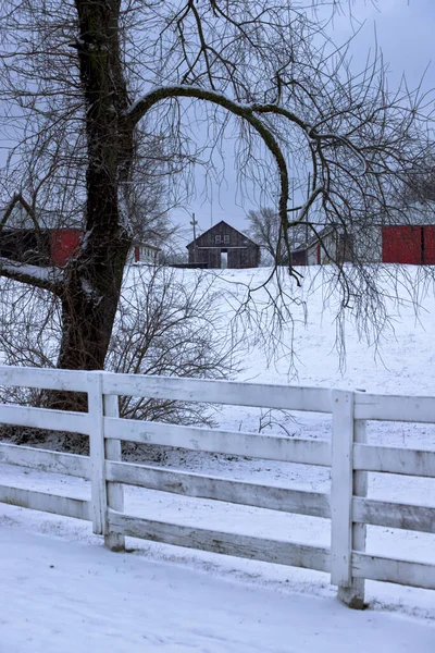 Een Verticale Opname Van Een Prachtig Winterlandschap Met Een Houten — Stockfoto